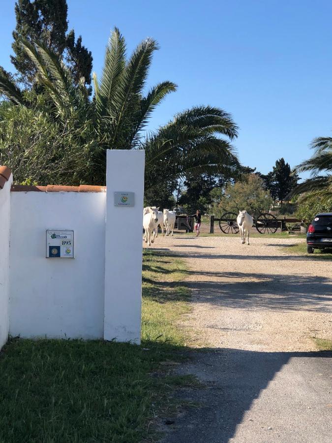 Villa Gite Armieux Saintes-Maries-de-La-Mer Exterior foto